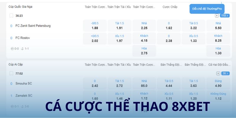 Cá cược thể thao 8xbet luôn được yêu thích