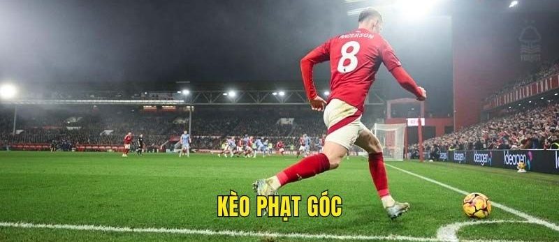 Kèo phạt góc 8xbet