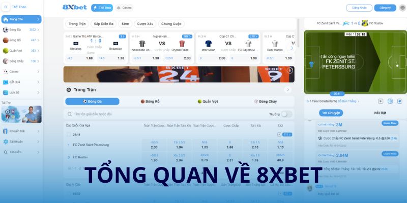 Tỏng quan về nhà cái cá cược 8xbet
